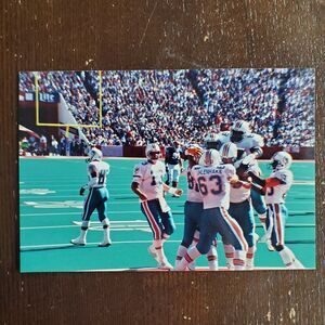 Vintage Football Photo Miami Dolphins Touchdown Celebration 4x6 Color 1990s